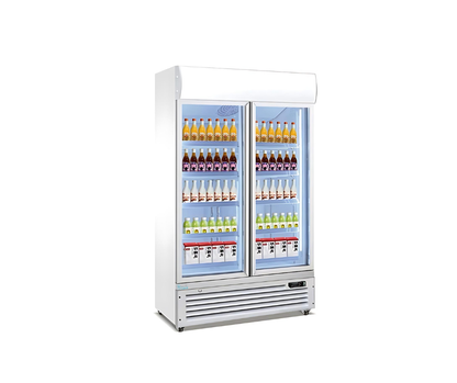 Display glass refrigerator Lumin Cool 45R-G2S